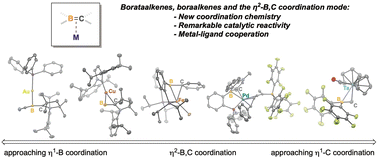 Graphical abstract: Borataalkenes, boraalkenes, and the η2-B,C coordination mode in coordination chemistry and catalysis