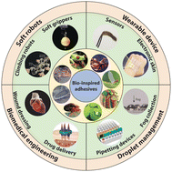 Graphical abstract: Nature-inspired adhesive systems