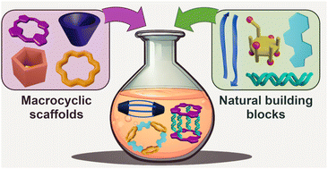 Graphical abstract: Molecular vessels from preorganised natural building blocks