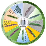 Graphical abstract: Electrochemical exfoliation of 2D materials beyond graphene