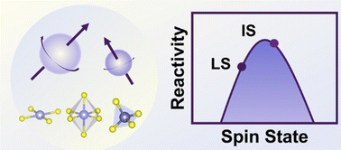 Graphical abstract: Spin states of metal centers in electrocatalysis