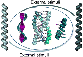 Graphical abstract: Stimuli-responsive synthetic helical polymers