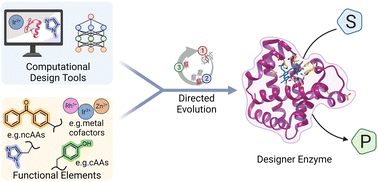 Graphical abstract: Strategies for designing biocatalysts with new functions