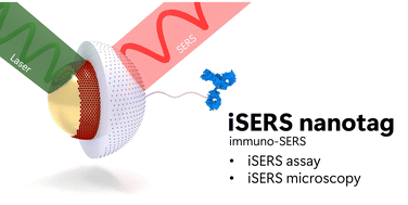 Graphical abstract: iSERS: from nanotag design to protein assays and ex vivo imaging