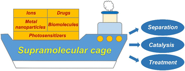 Graphical abstract: Supramolecular cage-mediated cargo transport