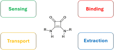 Graphical abstract: Squaramide-based receptors in anion supramolecular chemistry: insights into anion binding, sensing, transport and extraction