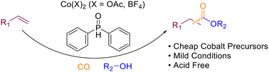 Graphical abstract: An improved cobalt-catalysed alkoxycarbonylation of olefins using secondary phosphine oxide promotors