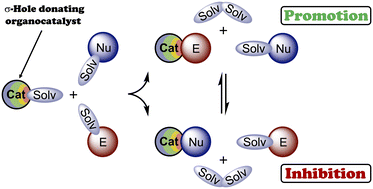 Graphical abstract: Solvent-modulated binding selectivity of reaction substrates to onium-based σ-hole donors