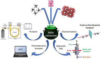 Graphical abstract: Understanding W/H-ZSM-5 catalysts for the dehydroaromatization of methane