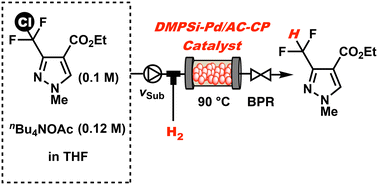 Graphical abstract: Catalytic hydrogenative dechlorination reaction for efficient synthesis of a key intermediate of SDHI fungicides under continuous-flow conditions