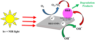 Graphical abstract: Synthesis of high yield, crystalline and thermally stable rare earth (Sm, Eu, Gd) oxide square nanoplates for near-infrared light activatable photocatalysis