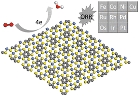 Graphical abstract: Computational screening of two-dimensional metal-benzenehexathial for the oxygen reduction reaction