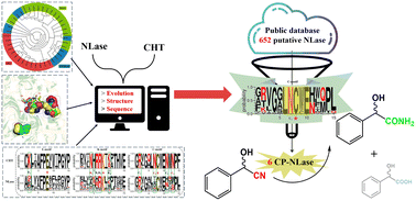 Graphical abstract: Rational identification of a catalytically promiscuous nitrilase by predicting a unique catalytic triad motif feature through an in silico strategy