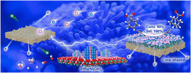 Graphical abstract: Coral-shaped PtRu/Ni(OH)2 electrocatalyst promotes selective hydrogenation of benzoic acid
