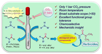 Graphical abstract: N-Heterocyclic carbene supported zinc catalysed N-formylation of diverse N–H functionalities with carbon dioxide under ambient conditions