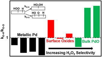 Graphical abstract: Theoretical assessments of Pd–PdO phase transformation and its impacts on H2O2 synthesis and decomposition pathways