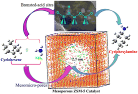 Graphical abstract: Insights into structure–function relationships of mesoporous H-ZSM-5 zeolite catalysts for direct amination of cyclohexene with NH3