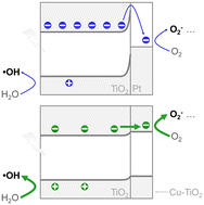 Graphical abstract: Homogeneous interfacial electron transfer promotes photoinduced hole extraction for phenol mineralization