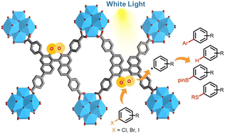 Graphical abstract: Binaphthol derivatives as catalysts for visible light induced aryl halide derivatizations