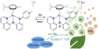 Graphical abstract: Efficient additive-free formic acid dehydrogenation with a NNN–ruthenium complex