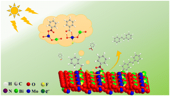 Graphical abstract: Photocatalytic one-pot alkylation of nitrobenzene with benzyl alcohol for the precise synthesis of N-benzylideneaniline over F-doped Bi2MoO6 nanosheets