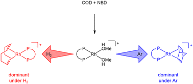 Graphical abstract: Major–minor concept revisited: causes for the reversal of thermodynamically determined intermediate ratios under reaction conditions