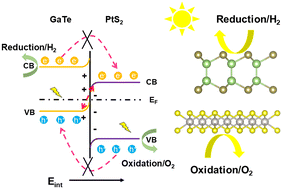 Graphical abstract: Enhancing solar-to-hydrogen efficiency with an S-scheme GaTe/PtS2 van der Waals heterojunction with high light absorption