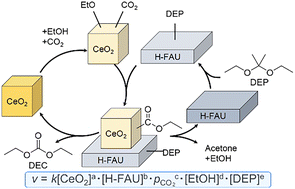 Graphical abstract: Mechanistic insights into CeO2-catalyzed direct synthesis of diethyl carbonate from CO2 and ethanol assisted by zeolite and 2,2-diethoxypropane