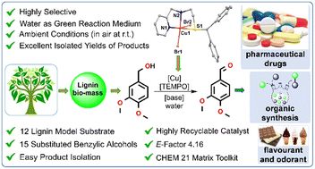 Graphical abstract: Selective aerobic oxidation of biomass model compound veratryl alcohol catalyzed by air-stable copper(ii) complexes in water