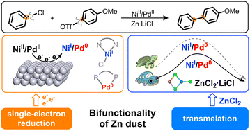 Graphical abstract: Bifunctionality of Zn dust in Ullmann C–C cross-coupling by Ni/Pd dual catalysis: theoretical insight