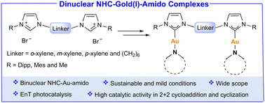 Graphical abstract: Novel dinuclear NHC–gold(i)-amido complexes and their application in energy transfer photocatalysis