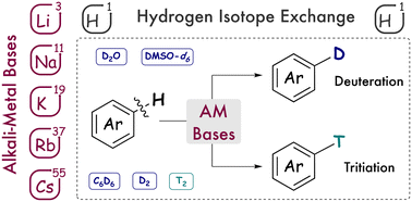 Graphical abstract: Alkali-metal bases in catalytic hydrogen isotope exchange processes