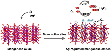 Graphical abstract: Optimization effect of Ag-regulated manganese oxides on electrocatalytic performance for Li–O2 batteries