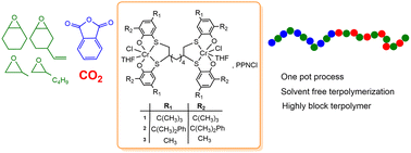 Graphical abstract: Dinuclear chromium complexes with [OSSO]-type ligands in the copolymerization of epoxides with CO2 and phthalic anhydride