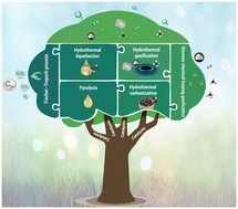 Graphical abstract: Unlocking the potential of catalysts in thermochemical energy conversion processes