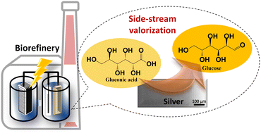 Graphical abstract: Potential dependence of gluconic acid to glucose electroreduction on silver