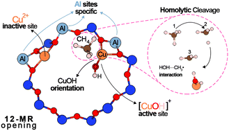 Graphical abstract: Conditions to meet for the [CuOH]+ site to be favorable and reactive toward the conversion of methane to methanol over Cu-MOR zeolite