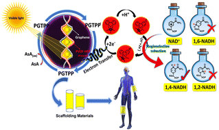 Graphical abstract: Unleashing the solar revolution: harnessing the power of an ultra-strong tensile strength PGTPP nanocomposite photocatalyst for artificial photosynthesis