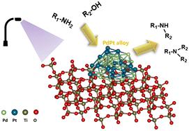 Graphical abstract: Bimetallic Pt–Pd catalysts supported on TiO2 for enhanced photocatalytic N-alkylation of amines with alcohols: the synergistic effect