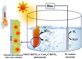 Graphical abstract: Photothermal-enhanced solar water oxidation on NiO/amorphous carbon/BiVO4 and CoOx/amorphous carbon/BiVO4 photoanodes