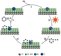 Graphical abstract: Selective hydrogenation of phenylacetylene over TiO2 supported Ni2P nanoparticles under visible light irradiation