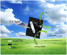 Graphical abstract: Boosting hydrogen peroxide production of brookite TiO2 with Au and MXene co-catalysis under UV light