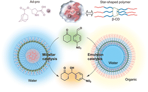 Graphical abstract: Harboring organocatalysts in a star-shaped block copolymer for micellar catalysis and emulsion catalysis