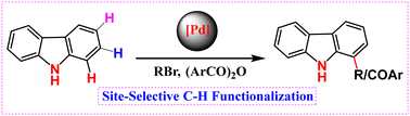 Graphical abstract: Mechanism insight into palladium-catalyzed site-selective C–H functionalization of carbazoles