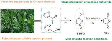 Graphical abstract: From biomass to C4 chemicals: selective transformation of bio-based furans to succinic anhydride in the presence of oxygen