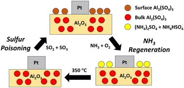 Graphical abstract: Low temperature NH3 regeneration of a sulfur poisoned Pt/Al2O3 monolith catalyst