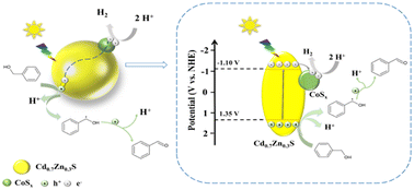 Graphical abstract: Dual-functional photocatalyst of CoSx/Cd0.7Zn0.3S without noble metals for efficient selective benzaldehyde synthesis coupled with H2 production