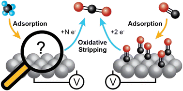 Graphical abstract: Determining the potential-dependent identity of methane adsorbates at Pt electrodes using EC-MS