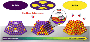 Graphical abstract: Probing the nanoscale driving forces for adsorbate-induced Rh50Pd50 nanoparticle reconstruction via mean-field models of multi-faceted nanoparticles