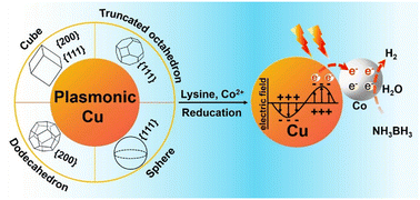 Graphical abstract: Regulating the electronic structure of plasmonic Co/Cu catalysts through morphology engineering to enhance visible-light-driven hydrogen generation from aqueous ammonia borane